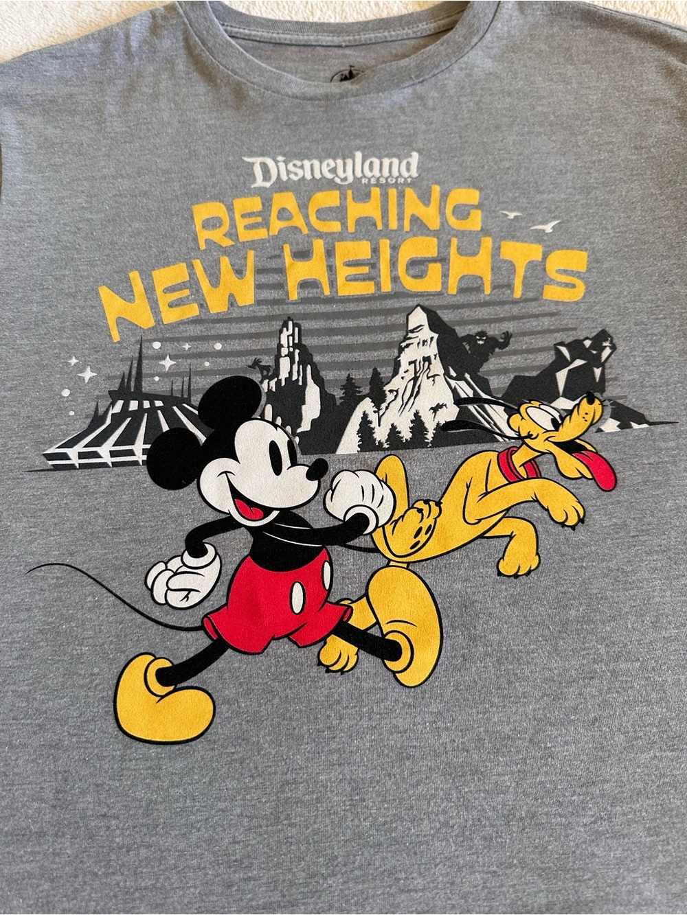 Disneyland "Reaching New Heights" Mickey & Pluto Graphic Tee Gray Space Mountain